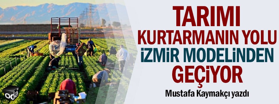 Tarımı kurtarmanın yolu İzmir modelinden geçiyor odatv.com/tarimi-kurtarm…