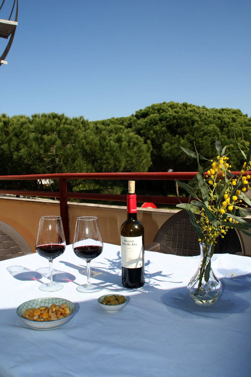 AzulCanosdeMeca's tweet photo. ¿Apetece una copita de vino viendo el magnífico Pinar de la Breña y a sólo 50 metros de la playa? Pues ya sabes, si tienes ganas, ven a disfrutar de Caños de Meca. 😜 #CañosdeMeca #Cadiz #Andalucia #CostadelaLuz #Andalusien #Sherrywine https://t.co/iiHRC8wNVY