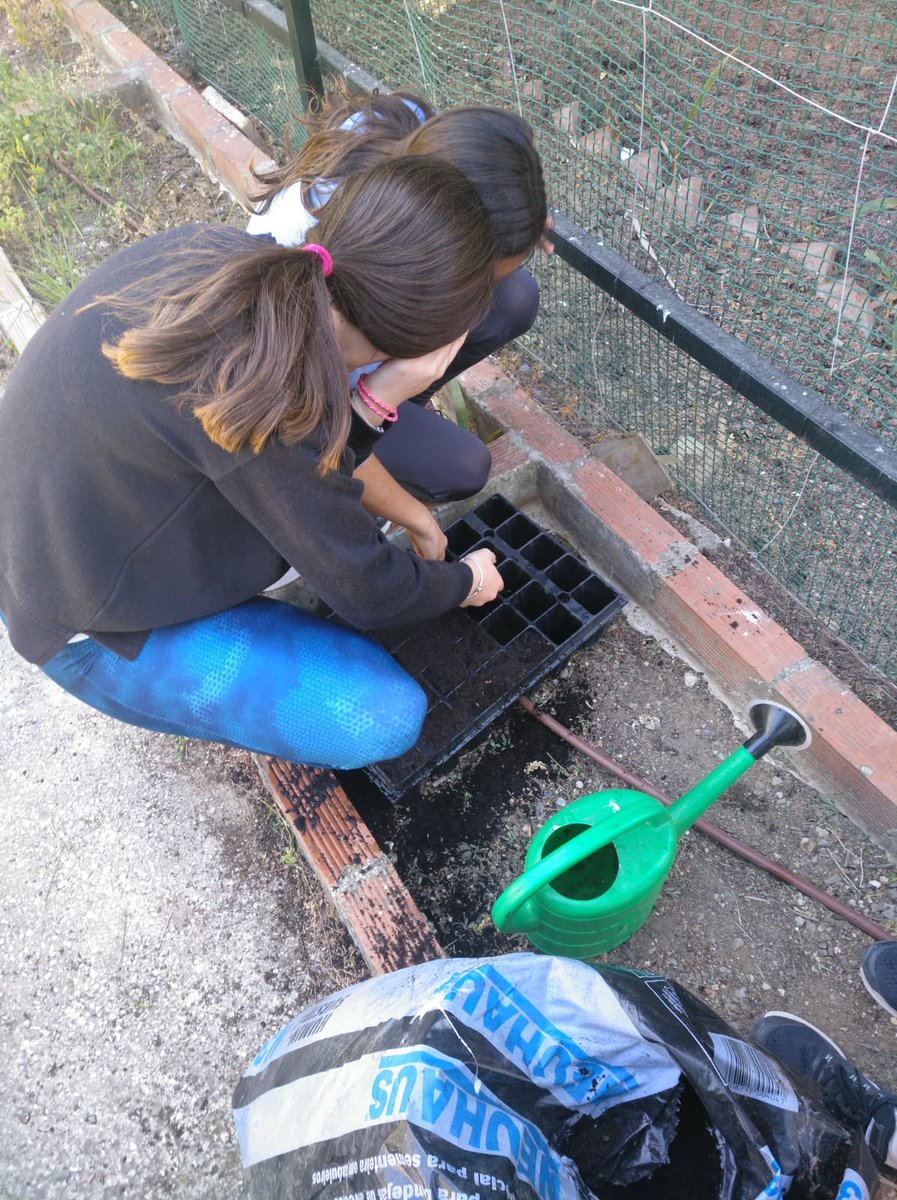 iesrrcc's tweet photo. El Programa "Escuela Espacio de Paz" está llevando a cabo durante el presente curso la creación de un vivero forestal y de plantas aromáticas. Este proyecto pretende el fomento de valores entre nuestro alumnado y se realiza en colaboración con ANNE Axarquía). #EEPaz https://t.co/YSlpjmFClM