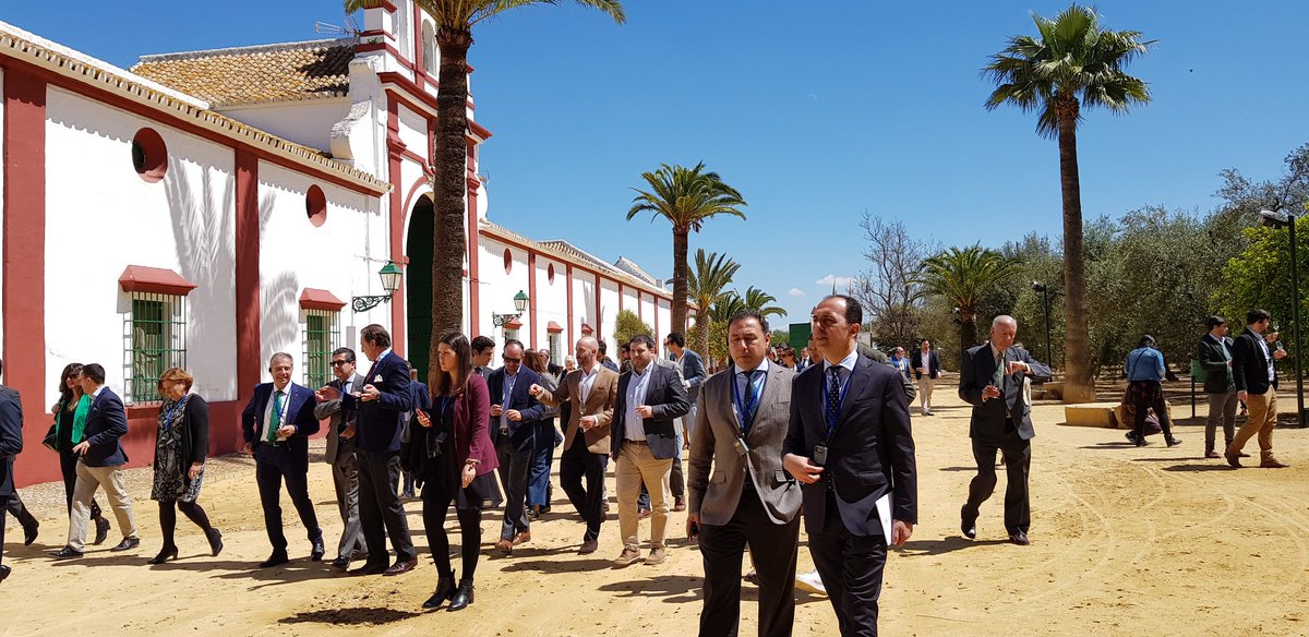 RicardoS2019's tweet photo. ✅ Marco incomparable, trabajo diario e intenso de ntros empresarios promocionando #Sevilla y #Andalucia
✅Apoyo desde @AndaluciaJunta a todas ls iniciativas y proyectos enoturísticas y oleoturísticas
#enhorabuena @HaciendaGuzman @fundacionjrg @AlvaGuillen @DeBodegasPorEsp #STIW https://t.co/Y0aJjr1cM9