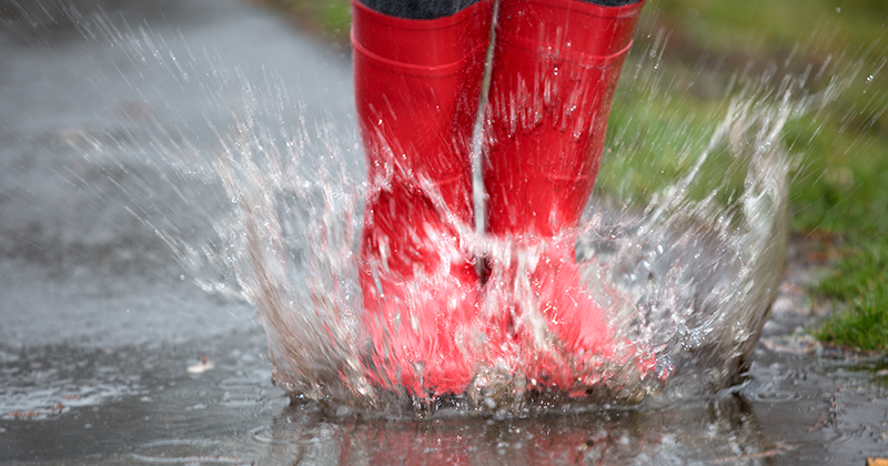 To reduce your risk of slips and falls this rainy season, check paved areas around your home for oil and other slippery substances. Also, wear sensible shoes when it's raining. bit.ly/2SMciiM