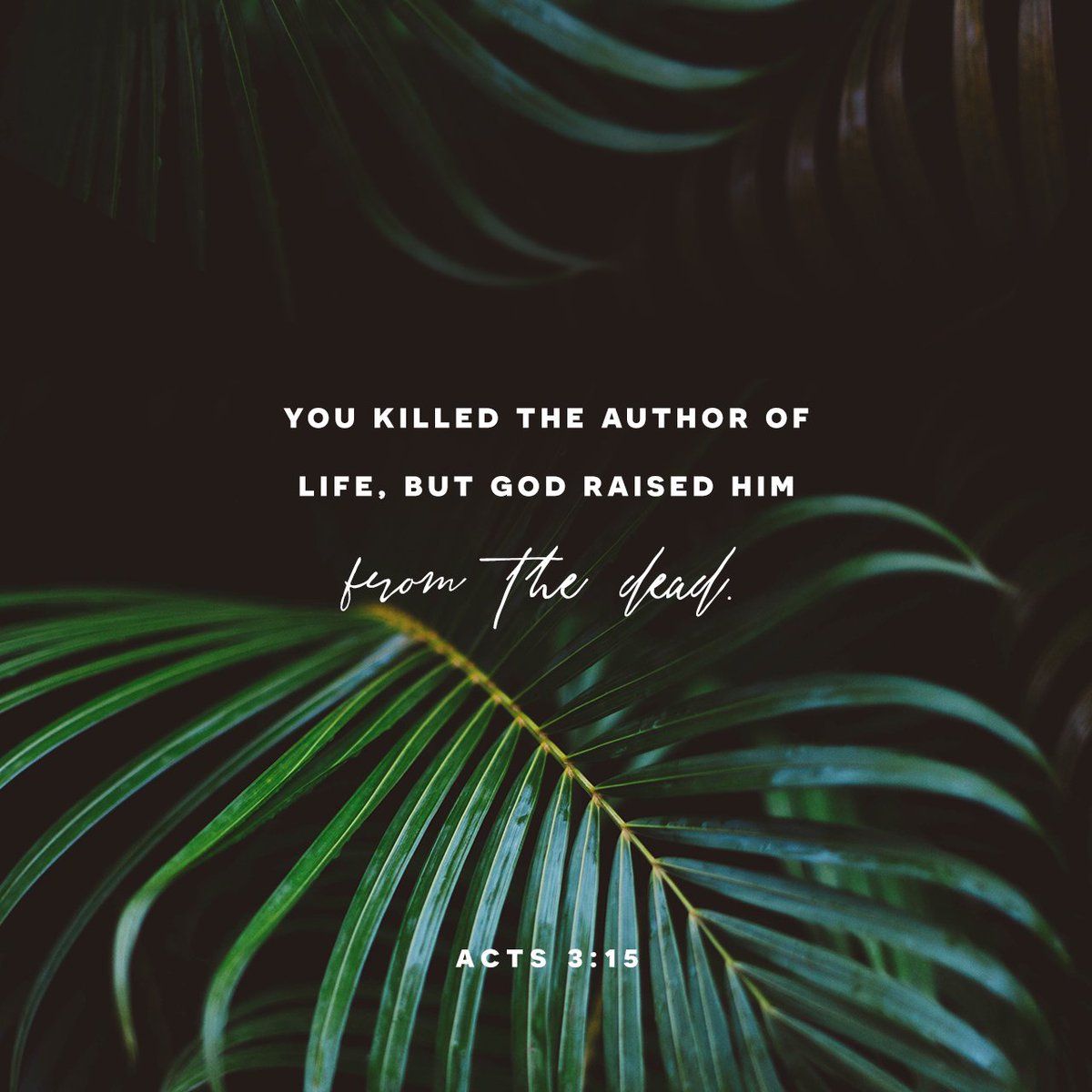 CofersChapel's tweet image. 