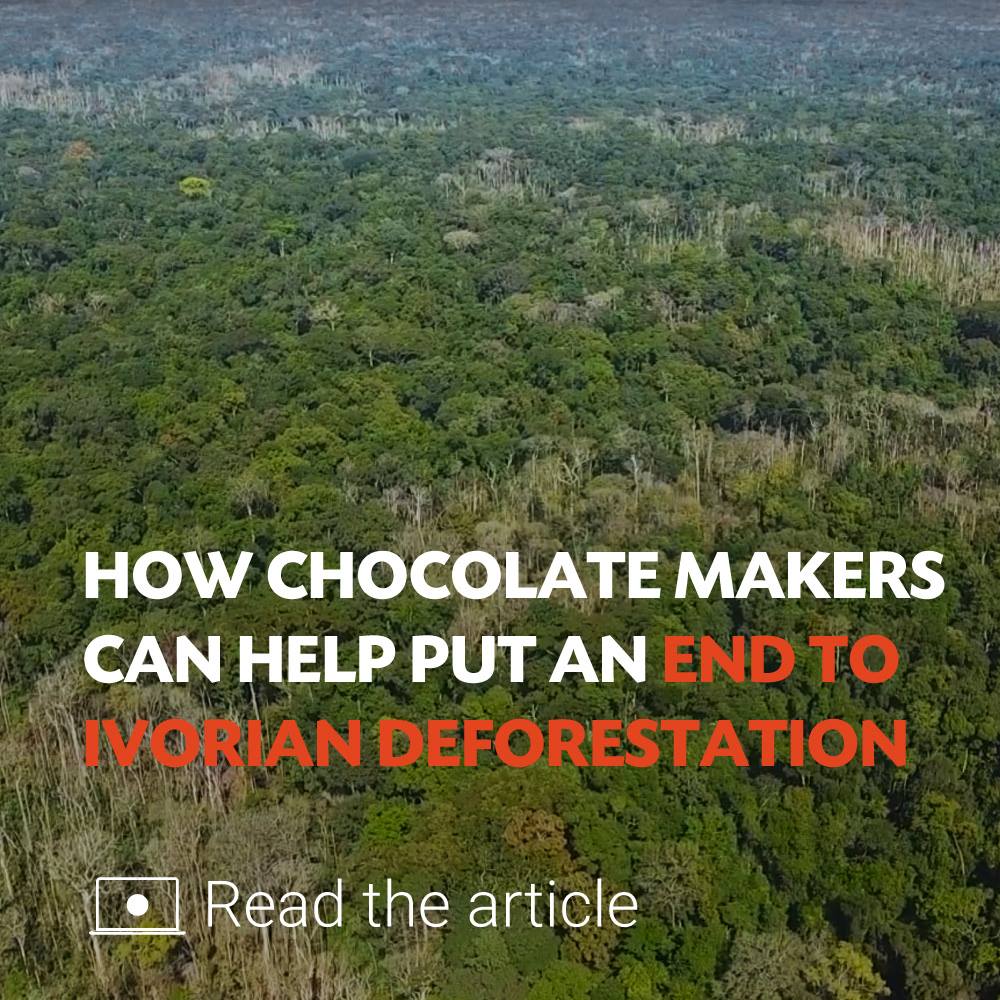 How to stop #deforestation in Côte d'Ivoire? How chocolate makers can help put an end to Ivorian deforestation? To know the solutions we propose, please click on the link below mailchi.mp/29d4dc65ad25/t… #cocoa #starling #CIV225