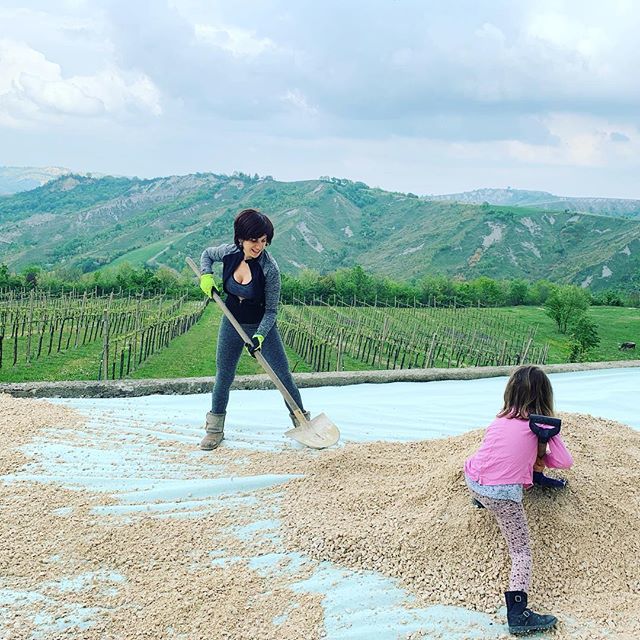 Divinaluxestate's tweet photo. Creating a new terrace with beautiful views over our vineyards! Great work out! Sometimes when you have an emotional day and feel a bit strange, it is really good to detach and do some physical activity, breathing fresh air and simply enjoying the moment… https://t.co/7mTF9I99to https://t.co/BrX8J1zO6w