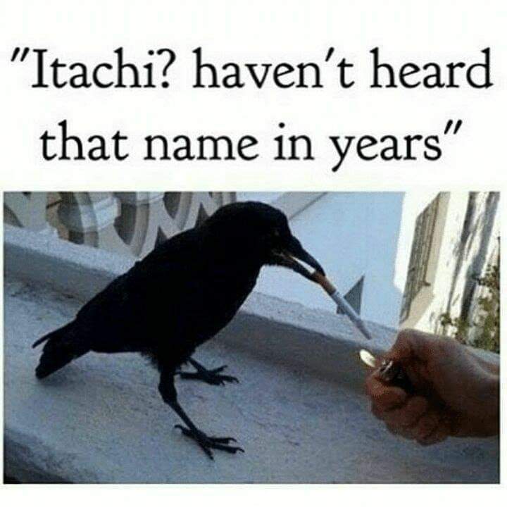 FreebirdChris's tweet image. 