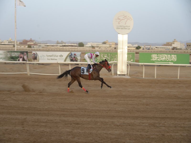 انتاج إسطبلات كندة يضرب بقوة مره اخرى عبر الفرس سالينا والتي حازت على كأس أمانة جدة بميدان جدة للفروسية. 
مبروك للمالك إسطبلات المنتهى وجميع أعضاء فريقه متمنين لهم المزيد من التوفيق والانتصارات