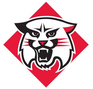 Our colors may have changed over the last 90 years, but our wildcats remain #AllinforDavidson