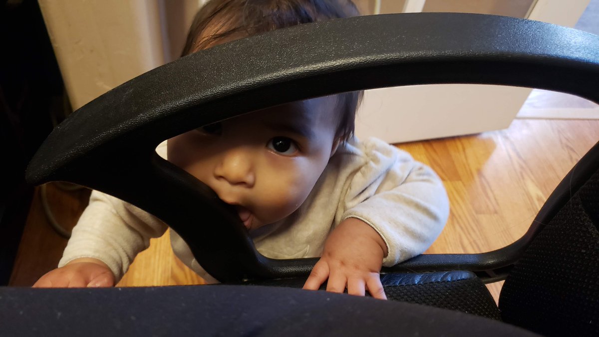 RobynKHanson's tweet image. Working from home is much more entertaining these days! #sweetcharlotte #firstgrand #someoneiswatching