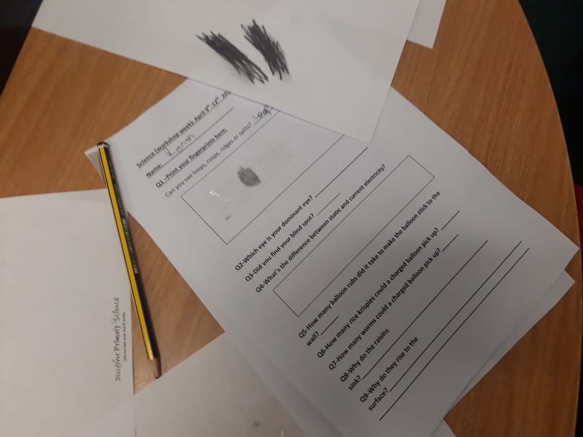 LoughmoreNS's tweet photo. Science workshops @LoughmoreNS  Curious minds, busy hands. @Leonadoyle Great job! #pdstscience https://t.co/Eiku60cpb7