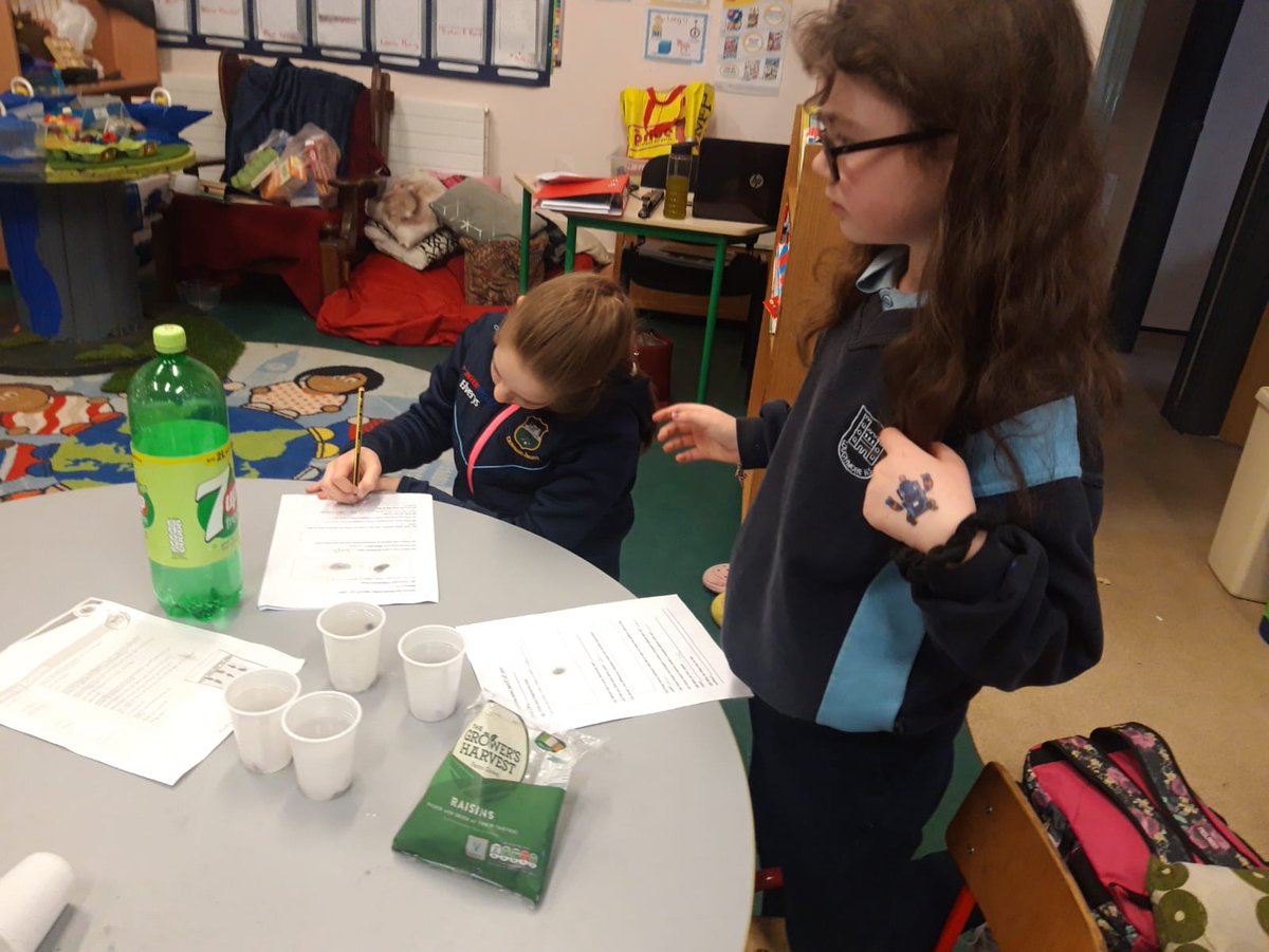 LoughmoreNS's tweet photo. Science workshops @LoughmoreNS  Curious minds, busy hands. @Leonadoyle Great job! #pdstscience https://t.co/Eiku60cpb7