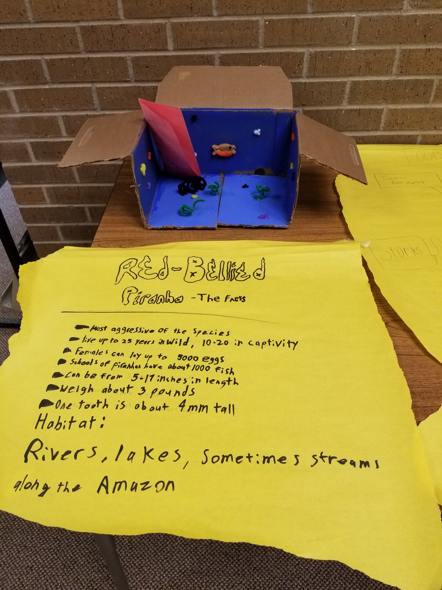 SocialHolcomb's tweet photo. Was their chosen animal endangered?  See their food webs and find out! https://t.co/1dDXz30Hhw