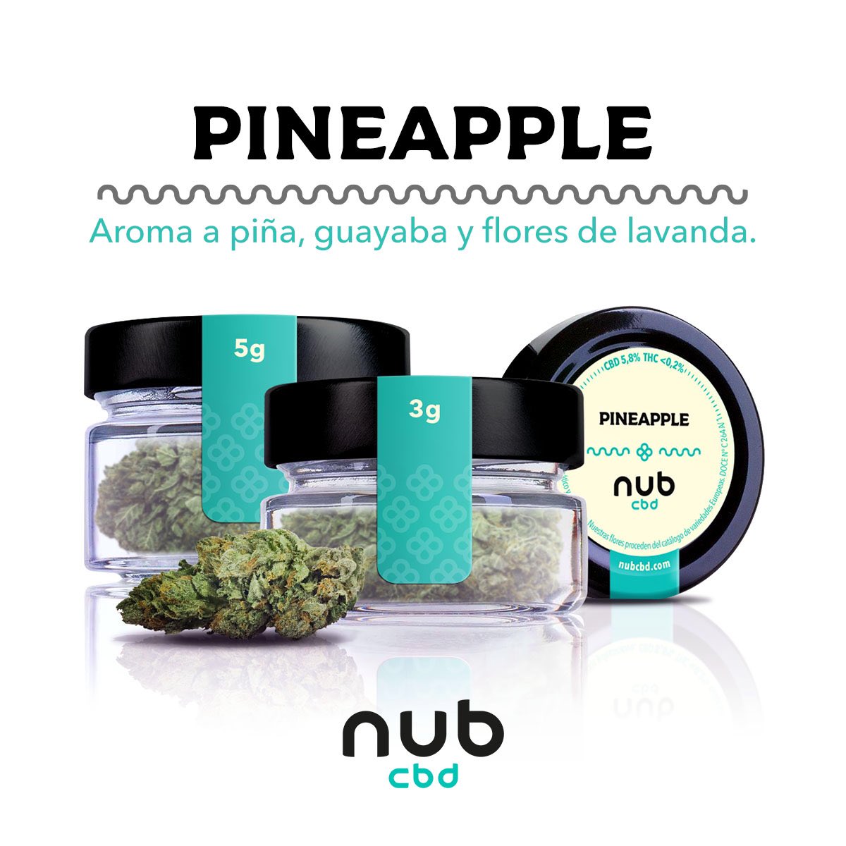 Nubcbd's tweet photo. Pineapple, ya puedes disfrutar de una de nuestras variedades más aromáticas hasta el momento. Con toques de #piña #🍍 #guayaba y #lavanda #cbd #pineapple #pineapple🍍 #cannabis #cáñamo #novedades https://t.co/FQKgRzBEvS https://t.co/fE83yJVdnP