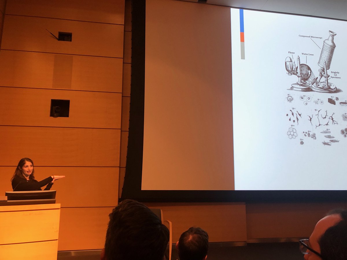 Debyani Chakravarty, PhD 🇺🇦 tweet media