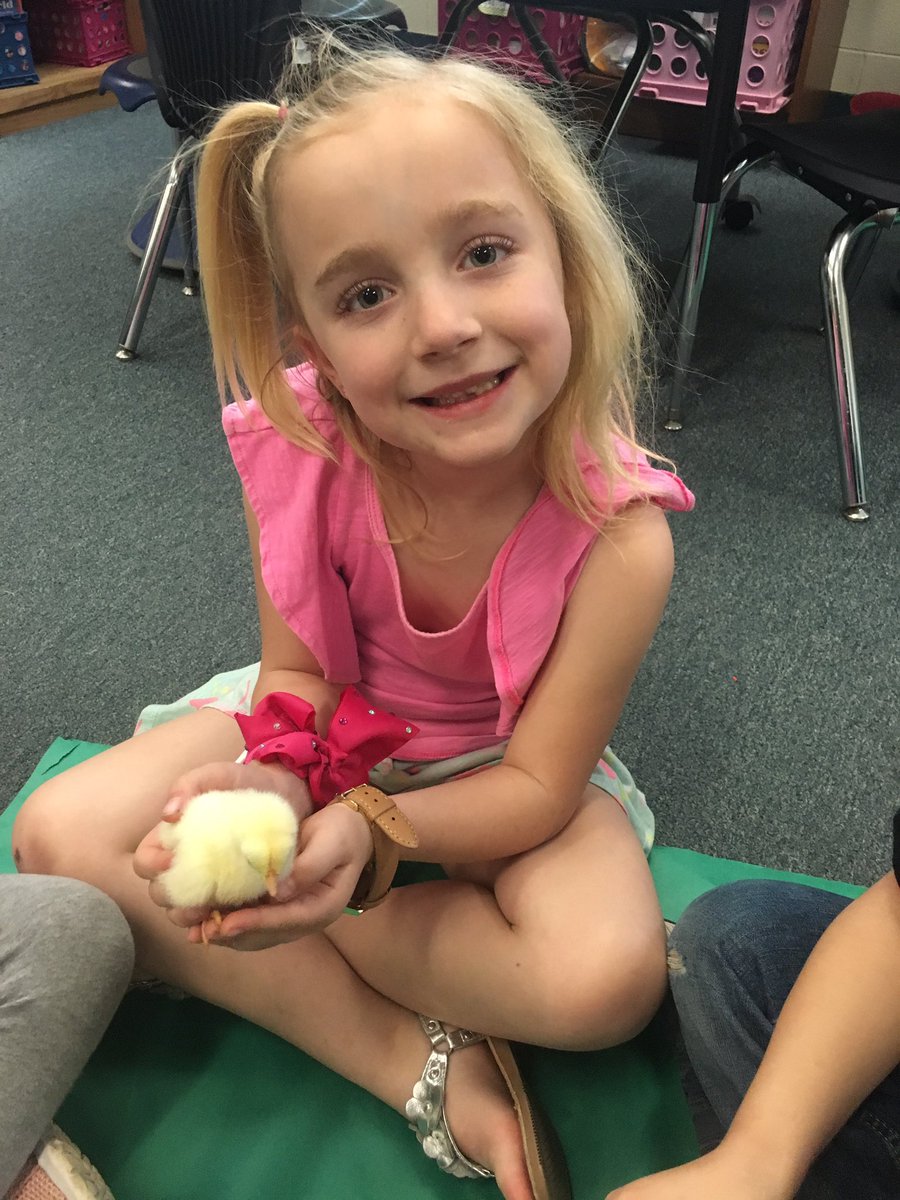 CoffeeclassLS's tweet photo. We’re having a whole lot of fun with these little peeps! #LSchicks2019 https://t.co/LO1sm1VQ82
