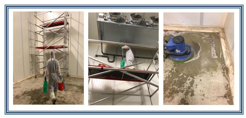 ECECleaning's tweet photo. Hygiene container/pod cleaned & sanitised. Ready for a swab test.
#highlevelclean #scaffoldtower #protectiveclothing #sterile #swabtest https://t.co/p9REoINMoG