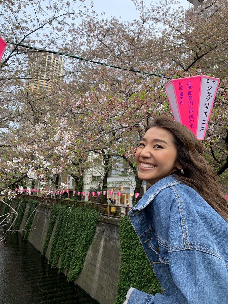 wakaba427Bounce's tweet photo. ちょっと見に行くのが遅すぎて、
もう葉桜でした😣🌱 https://t.co/JOrS4QnVDQ