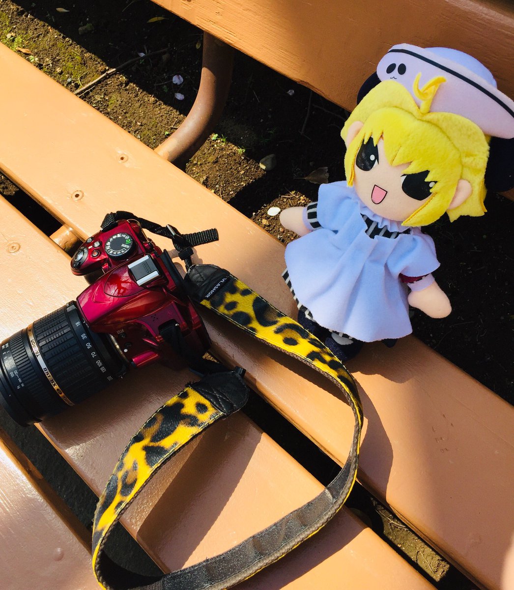 pypypanda's tweet image. こちら相棒とアシスタントさん
まだまだ頑張って撮り続けます📷