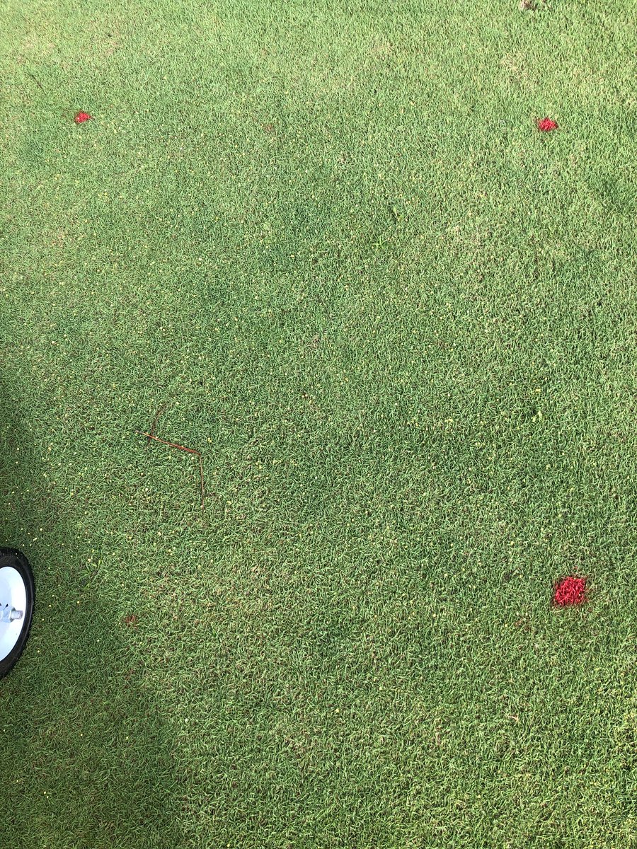bbrowningfert's tweet photo. A little 17x4 treatment demo showing #GalXeONE quality results. @SimplotPartners @florikan @TurfgrassMD Thanks to @FLTurfDoc for the setup and spreader box #evenspread. #replicatedstudy https://t.co/xHyj32k5qc