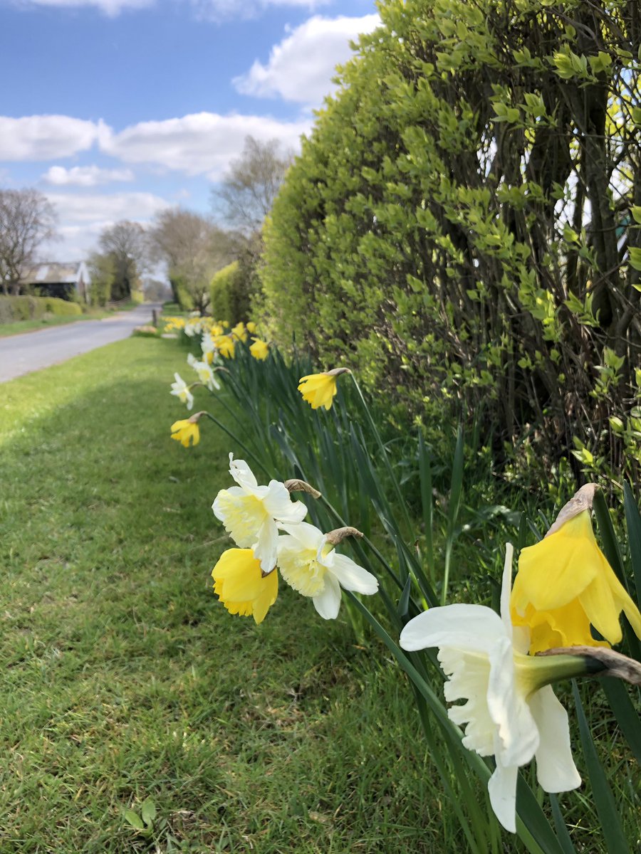 waterfordrandj's tweet photo. Wishing all our customers a good afternoon on this beautiful spring day. Don’t forget all pre-orders ahead of the weekend are greatly appreciated #yorkshiresfinest #springsun #GodsCountry https://t.co/PqicumfPxP