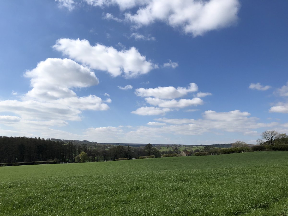 waterfordrandj's tweet photo. Wishing all our customers a good afternoon on this beautiful spring day. Don’t forget all pre-orders ahead of the weekend are greatly appreciated #yorkshiresfinest #springsun #GodsCountry https://t.co/PqicumfPxP