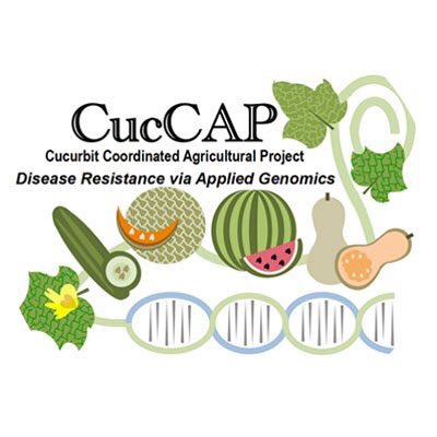 NC State Veggie Pathology (@quesadalabncsu) on Twitter photo Heading to this year’s @Cucurbit_CAP annual meeting! very excited to see all the research and extension updates from the team, and getting together with some amazing colleagues to talk pathogens 😊 <a href="/MHausbeck/">Mary Hausbeck</a> <a href="/ChristineSmart6/">Christine Smart</a> Heading to this year’s @Cucurbit_CAP annual meeting! very excited to see all the research and extension updates from the team, and getting together with some amazing colleagues to talk pathogens 😊 <a href="/MHausbeck/">Mary Hausbeck</a> <a href="/ChristineSmart6/">Christine Smart</a>