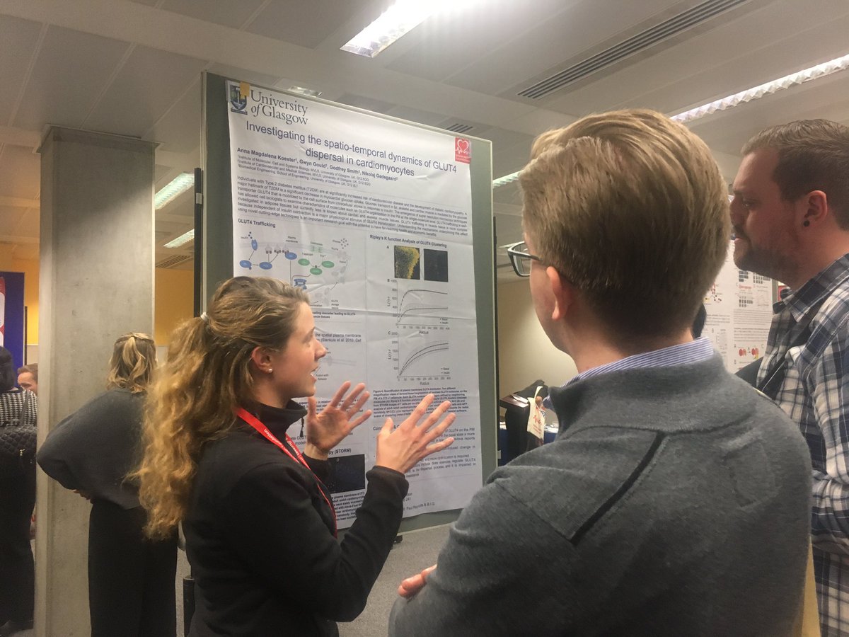 BHFCoREImperial's tweet photo. Successful first poster session at the #BHFStudentConferenceImperial2019 @ImperialNHLI https://t.co/6MotugObts