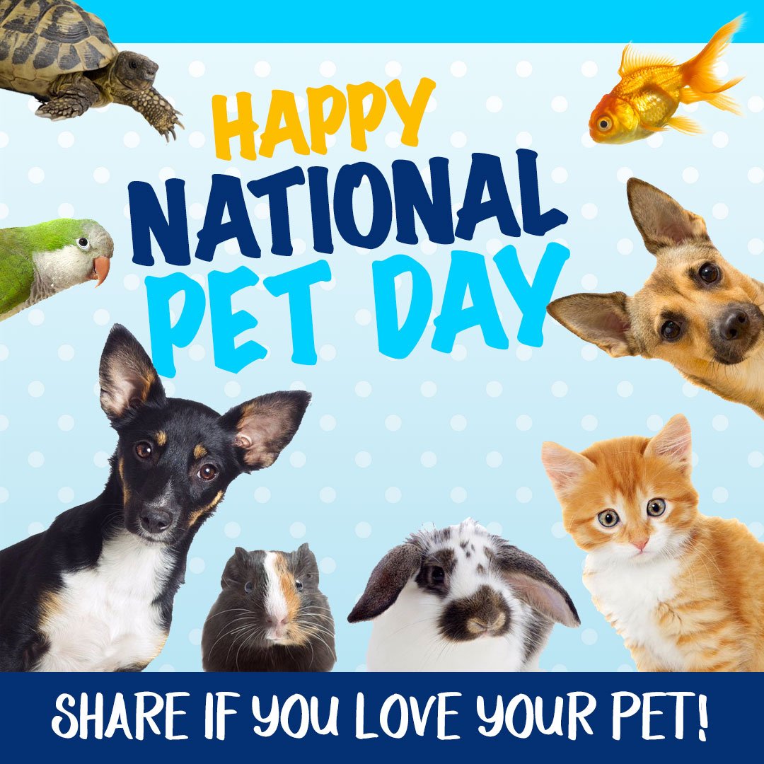 how do you celebrate national love your pet day