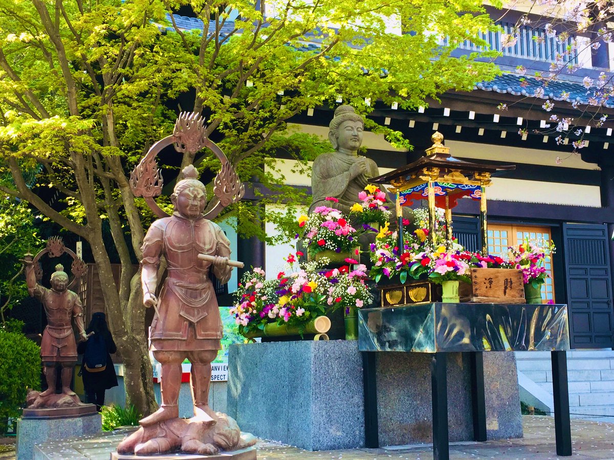 kana1932's tweet photo. 神奈川県鎌倉市  長谷寺

友達のリクエストで長谷寺へ。
ここは、いろいろな季節で
楽しめるお寺ですね*.+ﾟ

ご本尊さまの御朱印は
以前に頂いていたので、
大黒さまの御朱印拝受しました
#長谷寺 #御朱印 #鎌倉 https://t.co/mBqthi6IU8