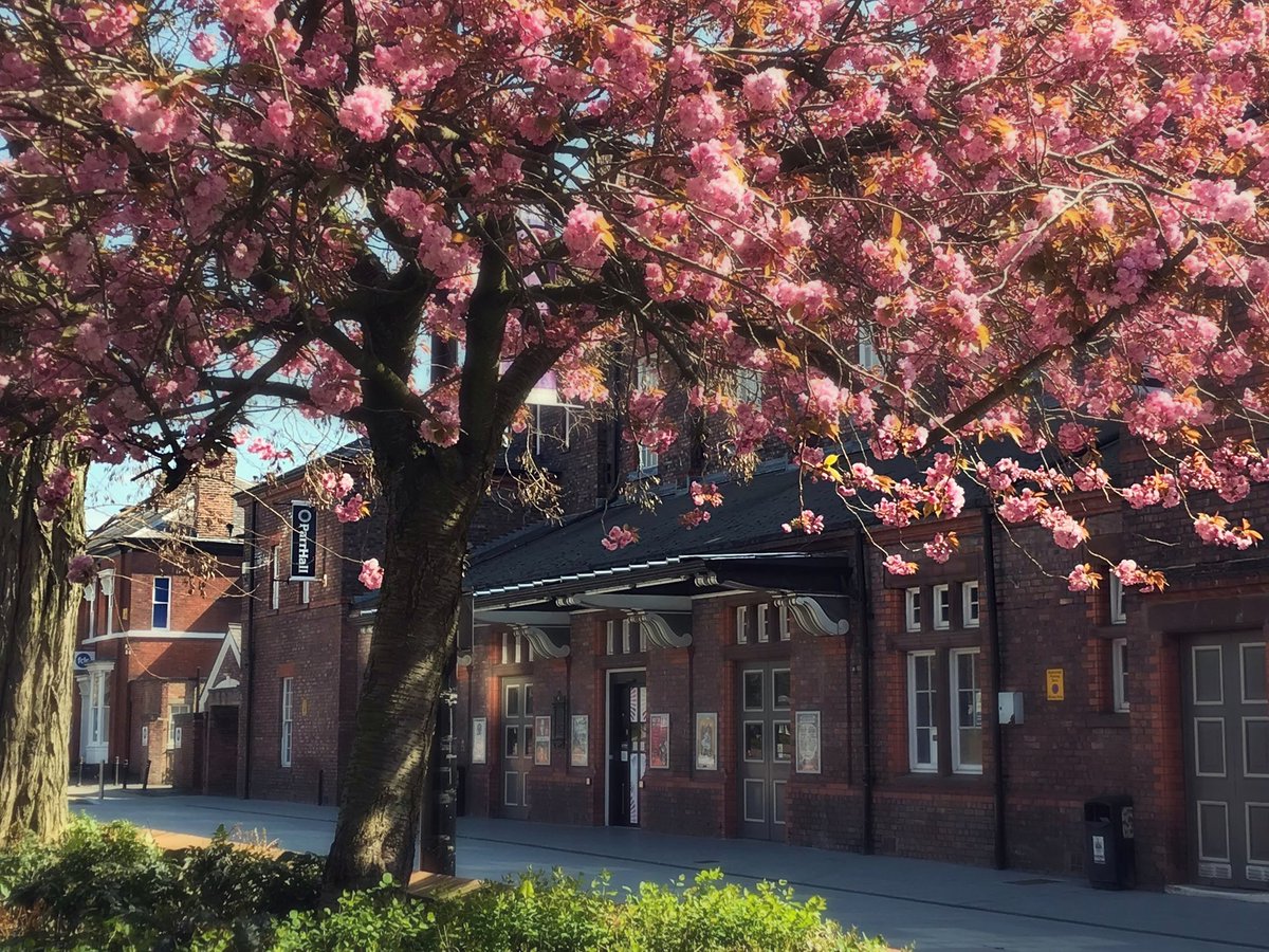PyramidParrHall's tweet photo. Spring has definitely sprung at Parr Hall! 😍🌳🌸🌞
#Warrington #springtime #easter #ParrHall #cherryblossom #PalmyraSquare https://t.co/80OijT0MJT