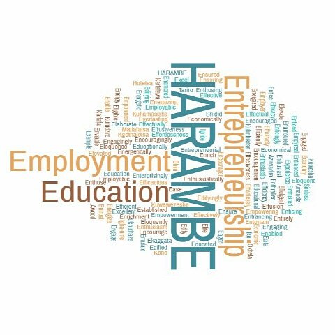 HarambeTrust's tweet image. HARAMBE TRUST thrives to promote participation in the economic, social, educational development of disadvantaged and discriminated communities in Zimbabwe. 
#LetsPullTogether 
#Empower