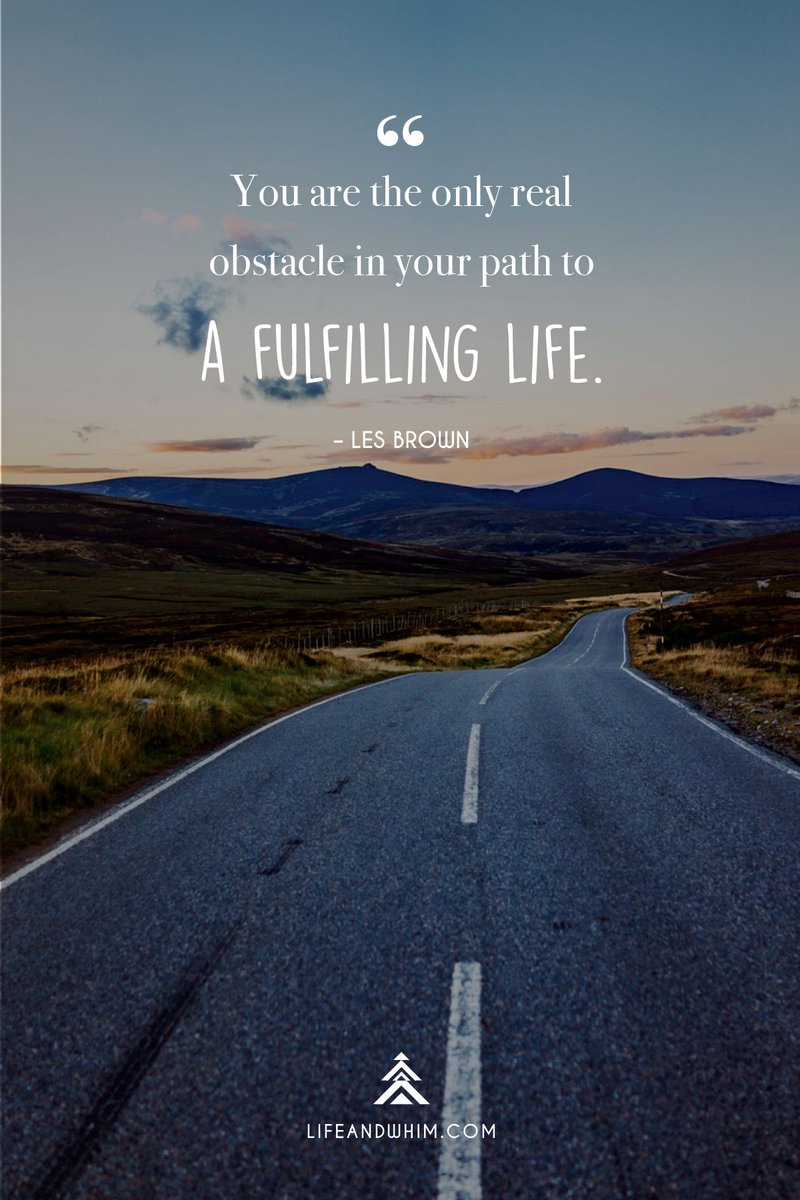 Life and Whim tweet media