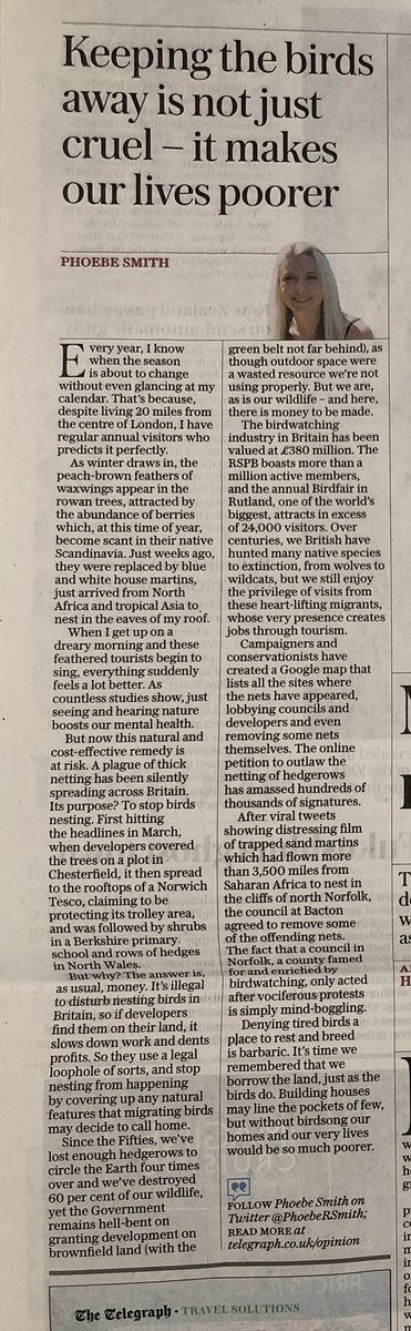 PhoebeRSmith's tweet photo. Imagine flying 3,500miles for your home to be blocked off... my piece in today’s @telegraph about why we should be welcoming birds, not persecuting them... #nestsnotnets https://t.co/Vb2NwfVpdm