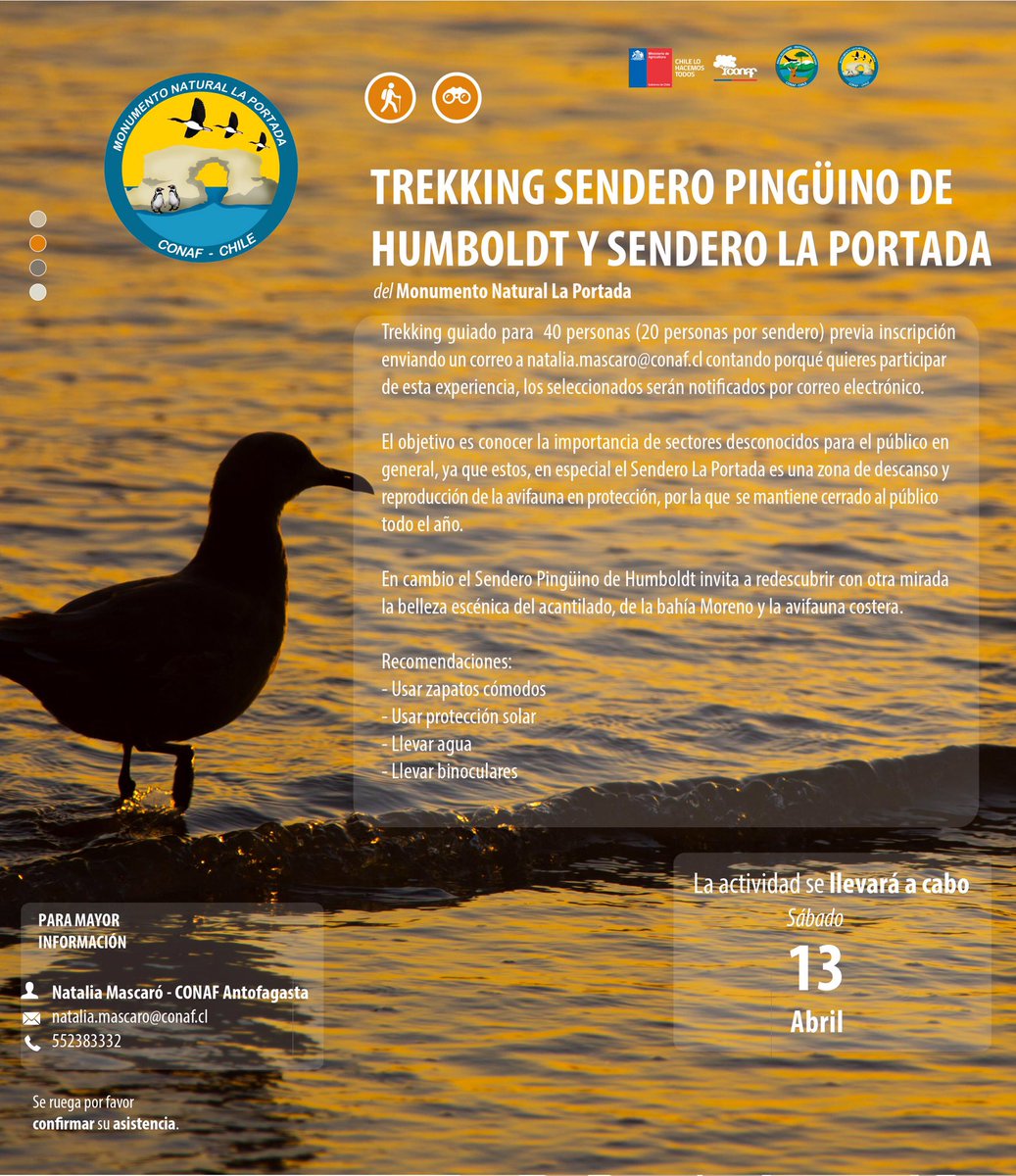 CONAFantof's tweet image. Este sábado 13 de abril realizaremos dos jornadas de trekking dirigidas por nuestros guardaparques en el Monumento Natural La Portada #Antofagasta 
Solo tenemos 40 cupos. Inscríbete enviando un correo a natalia.mascaro@conaf.cl 
Primer grupo 11:00 h y segundo grupo 14:30 h
