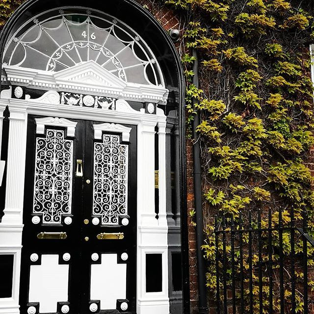 federicagoria's tweet photo. They say the ivy on wall is not just a decoration. The ivy is strong, flexible and it always finds a way to go on.
Having ivy around your house means protecting your home and the people you love.
And you always find your way 💚 https://t.co/krQGT9Ae4U https://t.co/MAM6h2pcqd