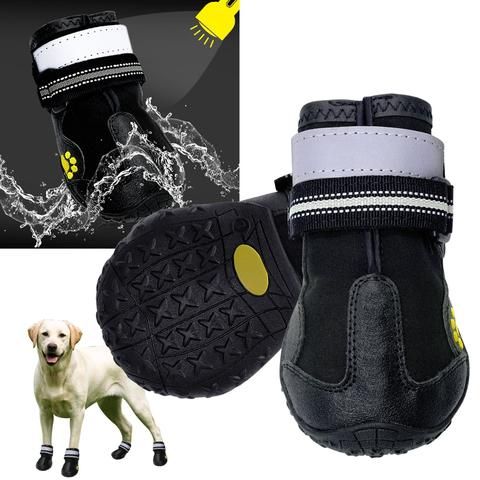KpFurbaby's tweet photo. Get your fur baby some reflective shoes for those summer nights when you get caught out after dark! Find these and many other shoes for your fur baby at https://t.co/MkEqh4ebjL. https://t.co/OzeS684a0O