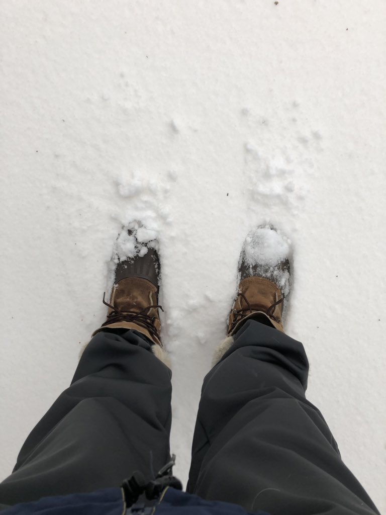 BlugoldCoachH's tweet photo. These are NOT my turf shoes and this is NOT a softball field. It’s April. What’s wrong with this picture? #movetheseasonback @NFCAorg @NCAA https://t.co/1d3bWQ1xIu