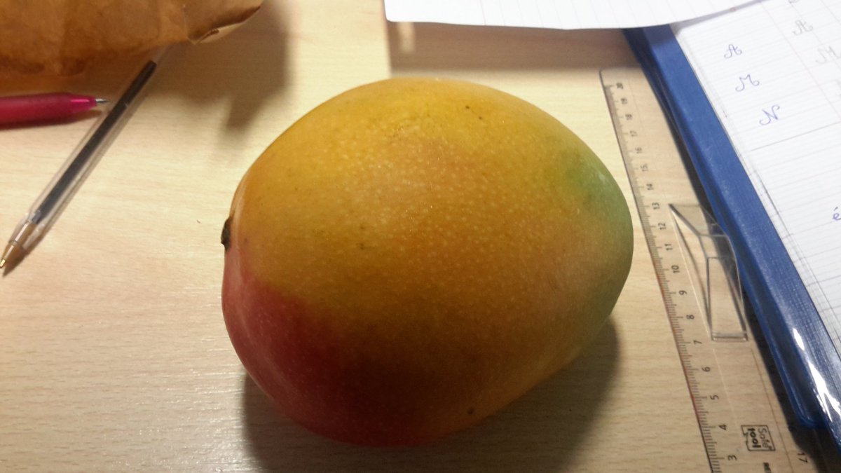 lescpce2depmc's tweet image. Aujourd&apos;hui, j&apos;ai mangé de la mangue, c&apos;est très bon. Noé #ClasseDuGout