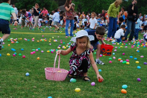 BonneTerreInnMS's tweet photo. Easter Sunday April 21, 2019 10:30AM- 1:00PM
Come join us for Brunch Buffet in Ashley Hall Ballroom
Reservations at (662)781-5100
#easter #sundaybrunch #familyfun #buffetbrunch #visitms #sprinbreak #thingstodo #memphistn #theonlytennisee https://t.co/km7vjCSN3E