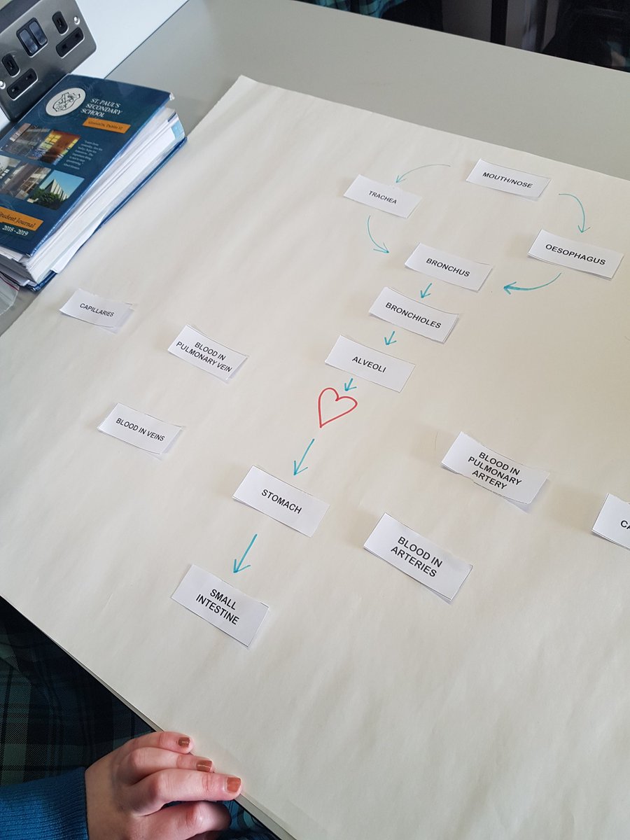 stpaulsgscience's tweet image. Flow diagram representations to illustrate how bodily systems interact . The final step @JctScience  #activelearning #scientificmodels #humansystems