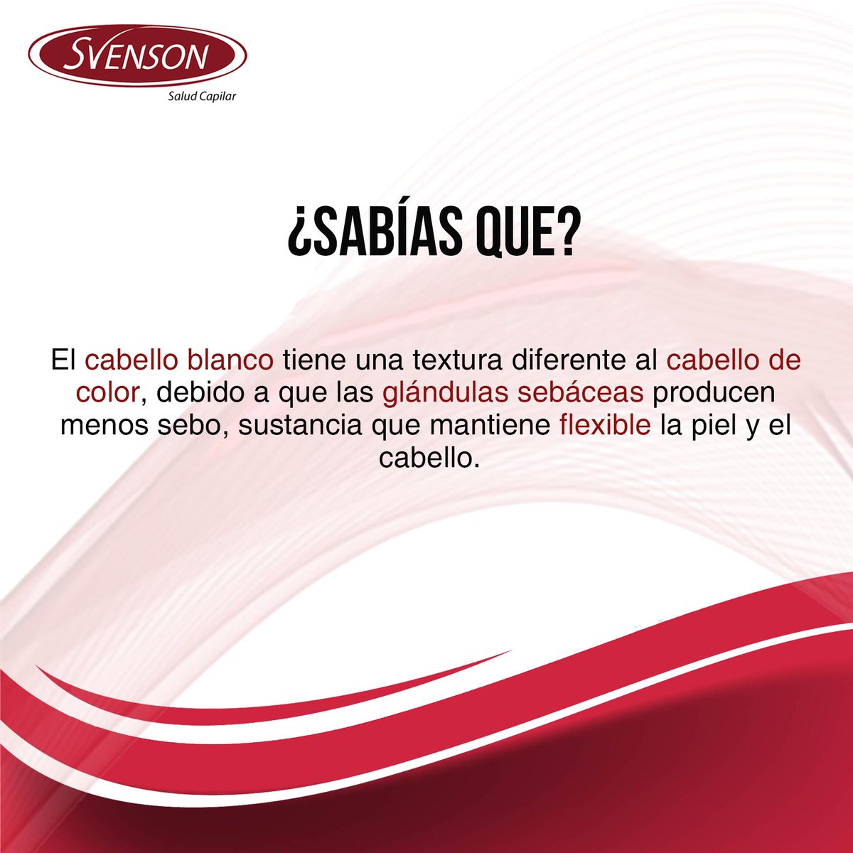 Svensonmexico's tweet photo. #Sabíasque
Las personas con #cabello de color blanco deben de tener mejores cuidados que los de otros colores.
En #Svenson encontrarás los mejores tratamientos y productos para cuidarlo y evitar cualquier tipo de #problemacapilar. https://t.co/QEzpuvbDq0