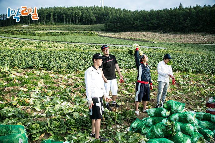 hanbootyy's tweet photo. one month without any updates about them. i miss them so much including the crews ㅠㅠㅠㅠ #1박2일 #Save1박2일 #Save2D1N #1박2일fighting #2daysand1night https://t.co/JlmjI6Uyi5