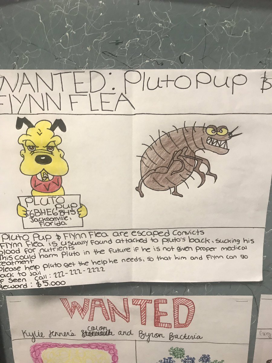 MrsStilianouCVA's tweet photo. Showing off the artistic abilities and creative works of our students in Mrs. McKenzieโs biology classes! #OhsScience https://t.co/QlR7qPfA9A