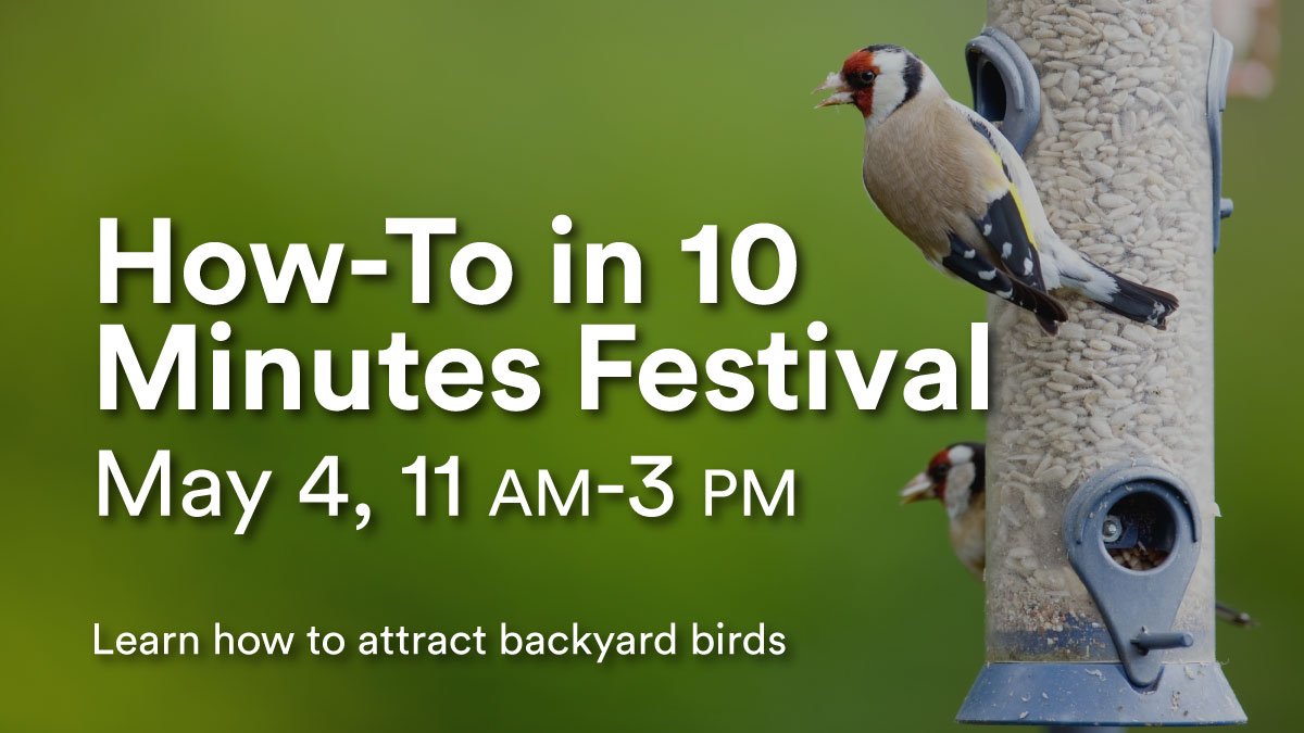 OshawaLibraries's tweet photo. Do you love to learn new things but never have enough time? The How-To in 10 Festival makes learning new and useful skills easy, fun, free, and convenient! Visit https://t.co/iRqRY71xGc for more details. #How2Ten #FindYourselfHere https://t.co/D4NzkexixP