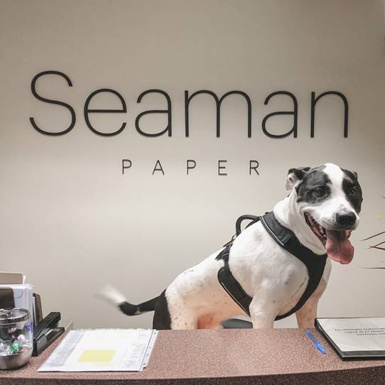 Happy #NationalPetDay! Shylo will be running the office today, making sure your packaging needs are taken care of.