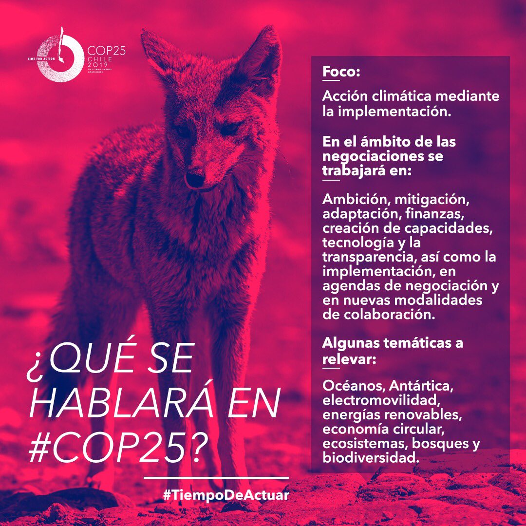 MinEnergia's tweet photo. AHORA⚡️En minutos participaremos del lanzamiento del Año #COP25, la mayor cumbre mundial del cambio climático que en diciembre se llevará a cabo en nuestro país. ¡Nuestro planeta necesita el compromiso de todos! 🌎♻️ #TiempoDeActuar https://t.co/SSAhDc7QAW