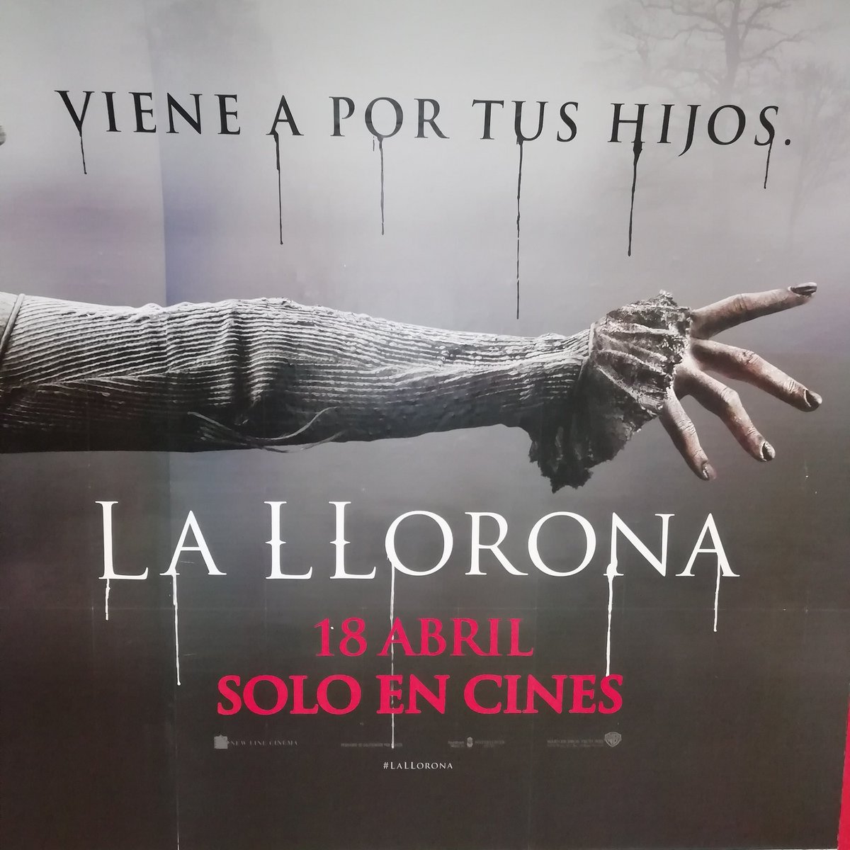 Sr_Kal_El's tweet photo. Ay, qué maravilla. Que venga a partir de las 18:00h y se los lleva merendaos. https://t.co/Bj6Uam7WSA