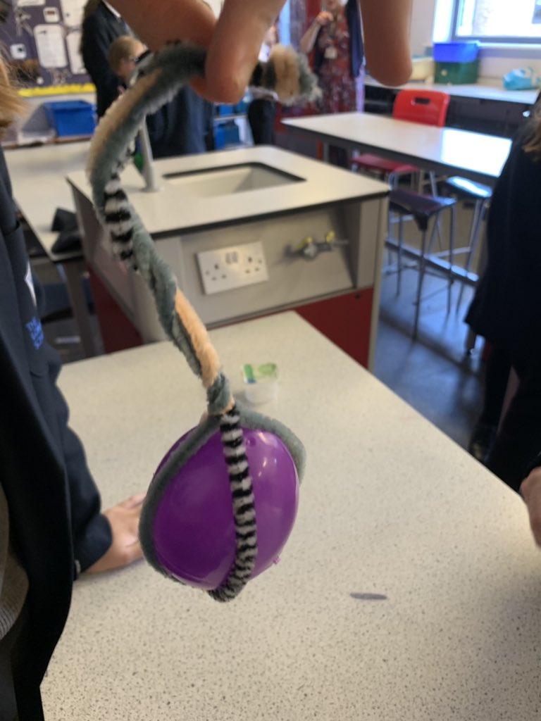 tlesphysics's tweet photo. Some ‘egg’cellent creations in Science club today to land our eggs safely in a basket following a zip line journey @longeatonschool @TLES_Brainiacs https://t.co/zwdspsrSm6