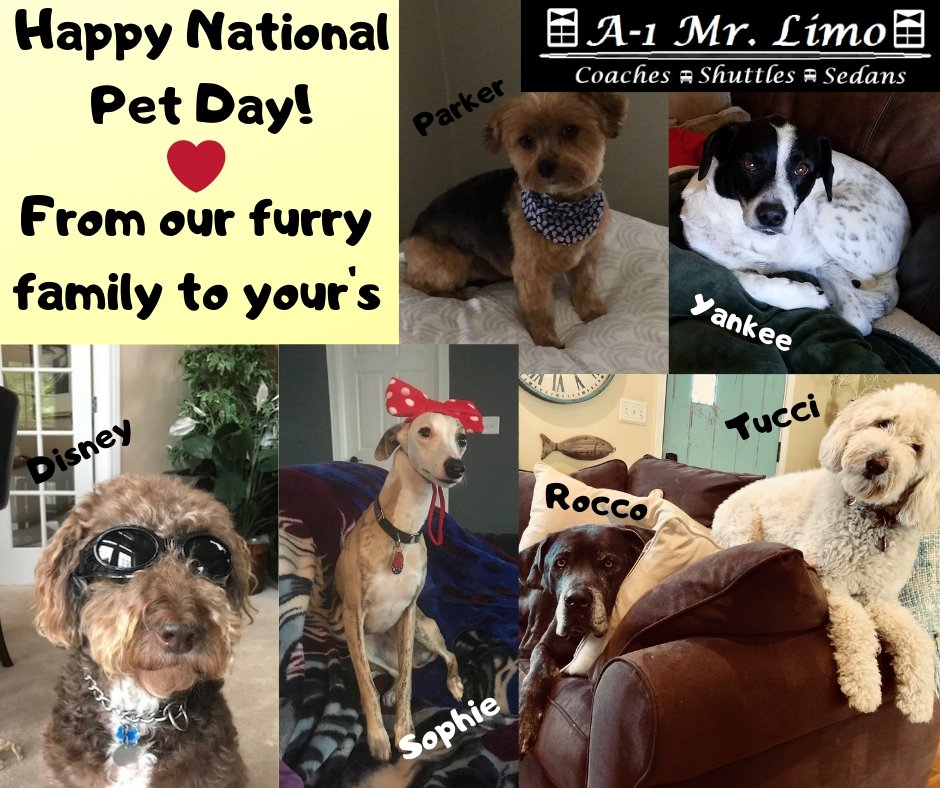 Happy #NationalPetDay from <a href="/A1MrLimo/">A-1 Mr. Limo</a> and <a href="/chrystal_tours/">Chrystal Tours</a>