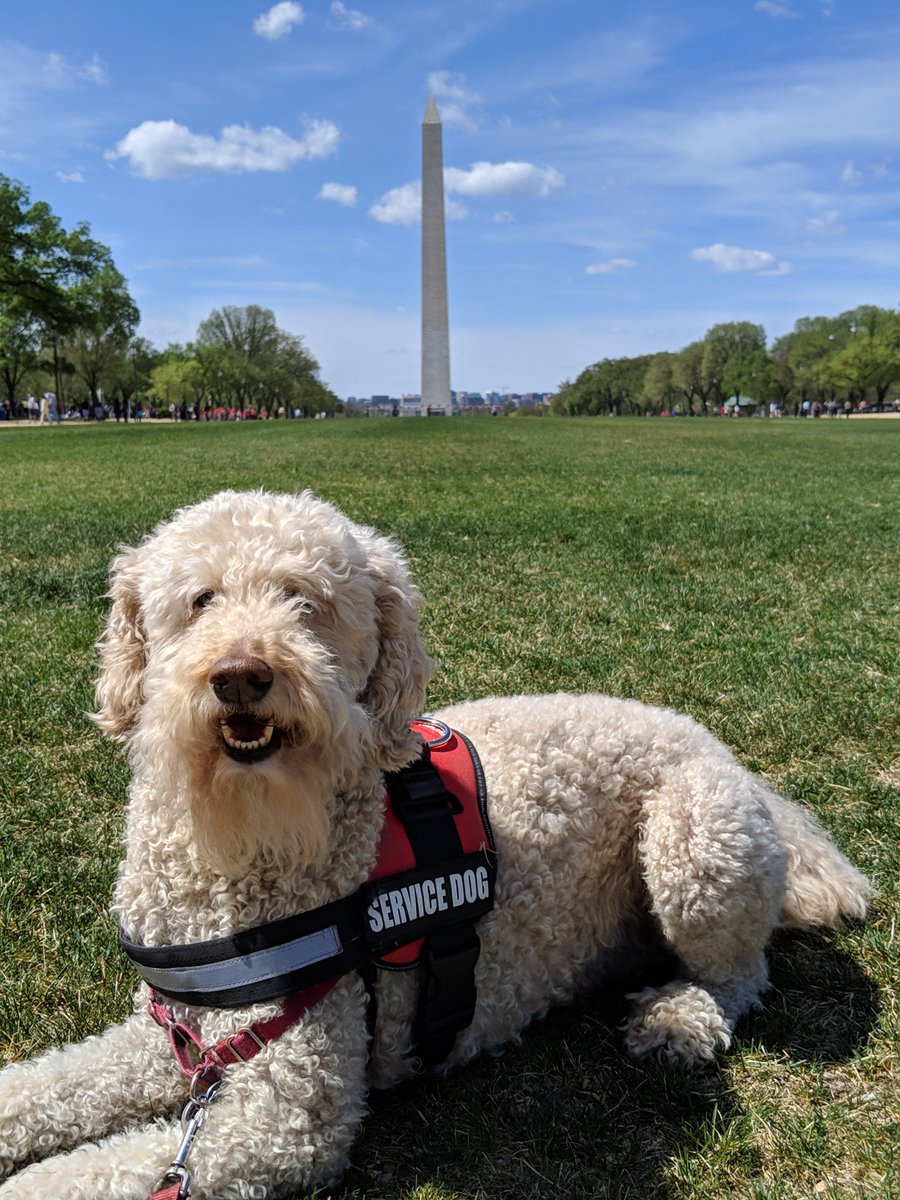 HUDREAC's tweet photo. DYK #UPCSV inspectors can now remotely verify non-LTE deficiencies instead of conducting a physical reinspection? That means more free time at our national parks with your best friend on #NationalPetDay! To learn more: https://t.co/EQt7Mg7X3p
@NatlParkService
#FindYourPark https://t.co/1RdgcKUvqe