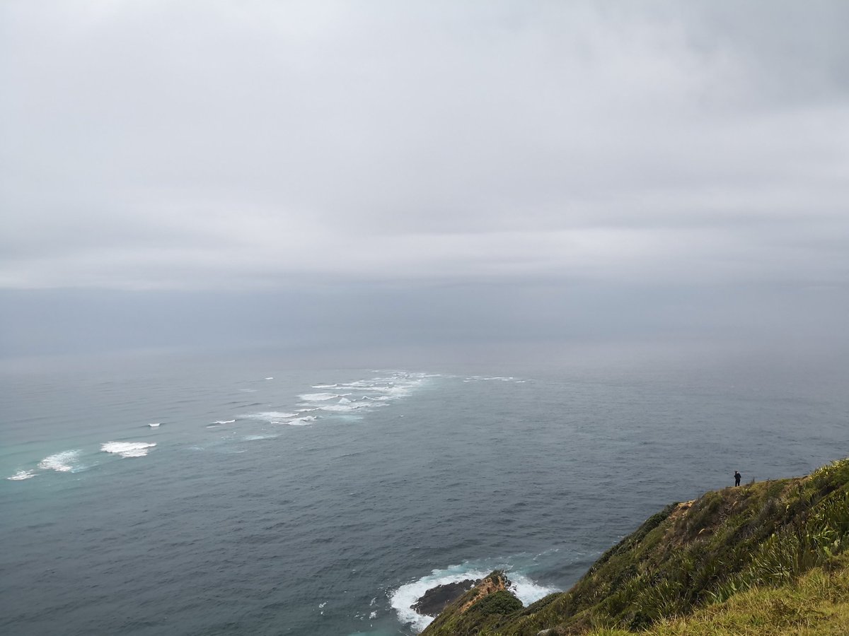 jolee8's tweet photo. Where the ocean meets.
Photo taken at #CapeReinga with #HuaweiMate10Pro , #noedit #nofilter.
#NZ #NewZealand #Northland #YesPureNZ #pureNZ #travel #nature #landscape #naturephotography #kiwi #roadtrip #nzmustsee #NorthIsland #HuaweiPhotography #landscapephotography https://t.co/r1ZaCb23dk